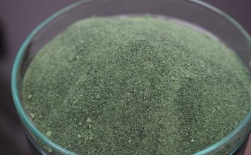 Si Hijau Spirulina yang Kaya Manfaat