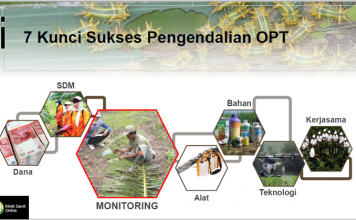 #KlinikSawit: Kunci Sukses Pengendalian UPDKS (Ulat Pemakan Daun Kelapa Sawit)