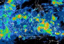 Fenomena La Nina di Perkebunan Kelapa Sawit