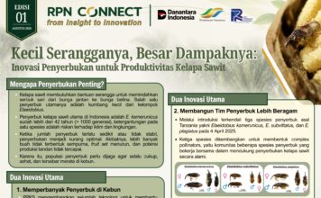 RPN Connect Edisi 01
