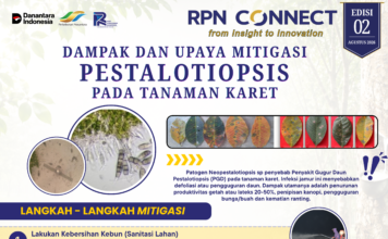 RPN Connect Edisi 02